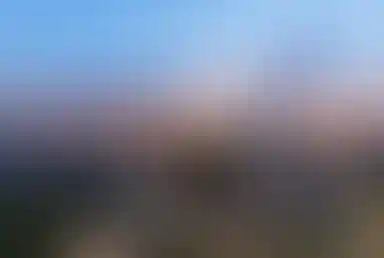 Панорамное изображение